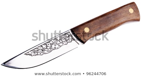 Hunting Knife With Wooden Haft Isolated On The White Zdjęcia stock © Vtls