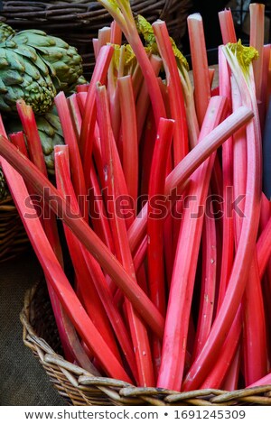 Сток-фото: Red Rhubarb