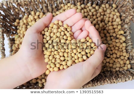 Foto stock: Handful Of Harvested Soybeans Heart Shaped Pile Top View