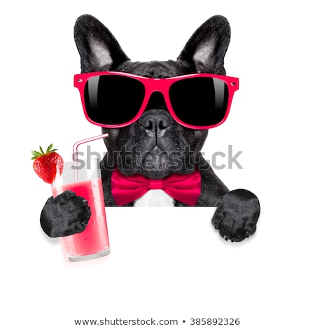 [[stock_photo]]: Smoothie Millshake Cocktail Dog