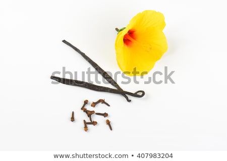 Stock fotó: Hibiscus Flower And Vanilla Pods