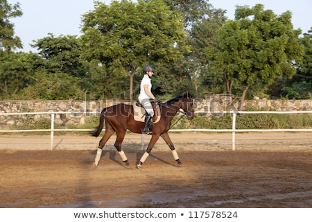 Сток-фото: Woman Riding Her Horse In The Parcour