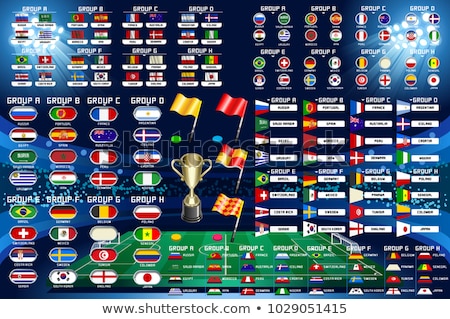 Stock photo: Brazil Soccer Championship Infographic