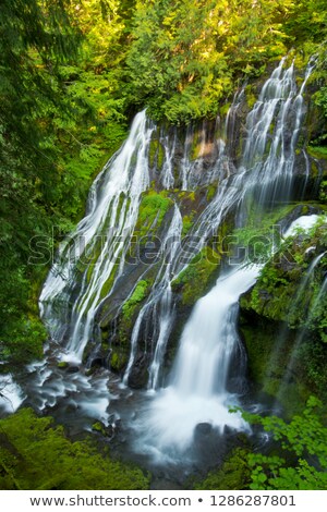 Stok fotoğraf: Panther Creek Falls