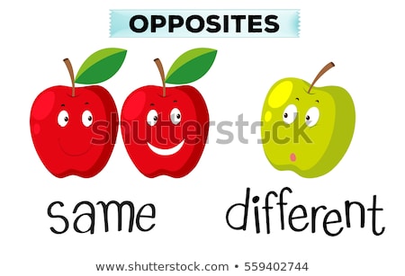 Stockfoto: Opposite Word On Green Background