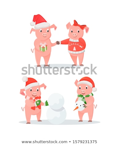 Сток-фото: New Year Piglets Couples Gift Box And Snowman