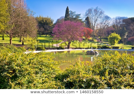 Stock photo: Fountain Rotonda Di Borghese Green Park In Rome Scenic View
