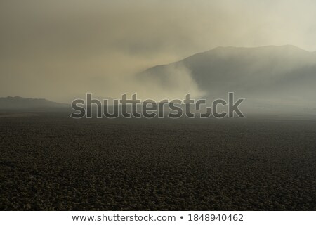 Stock foto: Fire In The Desert