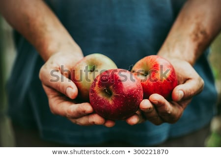 Foto stock: Hand With Apple