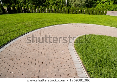 Stock fotó: Garden Paver Path With Plants And Grass