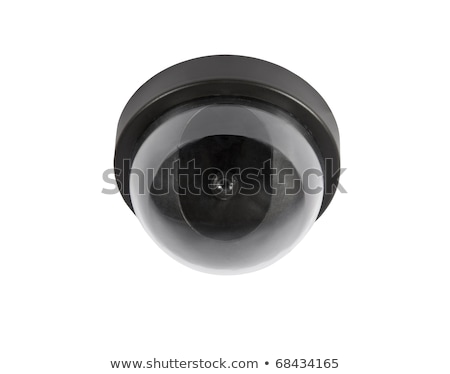 Stock photo: Omnipresent Security Camera Video Surveillance Globe Isolated