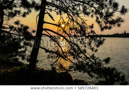 Stockfoto: Canoe Trail Through The Wilderness