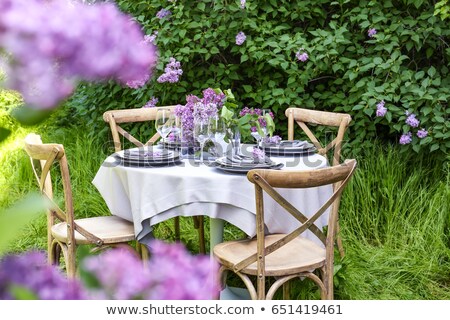 Foto stock: Lilac Chairs