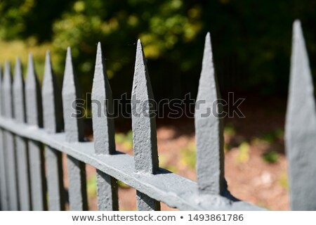 Stock foto: Flat Color Icon For Steel Gates With Shields