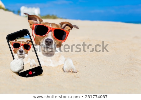 Foto d'archivio: Dog Buried In Sand Selfie