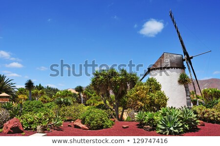 Foto stock: Antigua Windmill Fuerteventura At Canary Islands