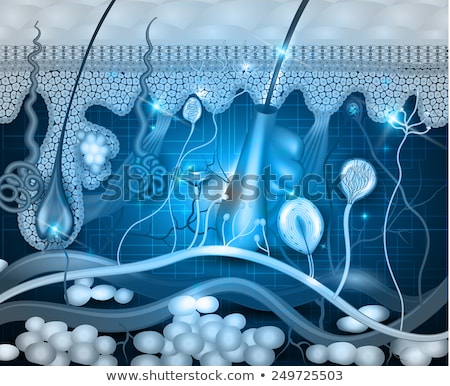 Stok fotoğraf: Skin Anatomy Abstract Blue Background