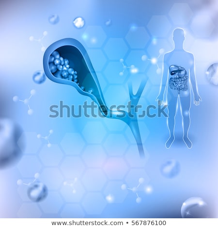 Сток-фото: Gallstones And Human Silhouette With Internal Organs Abstract He