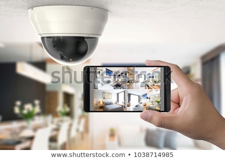 Stock photo: Secure Home With Video Surveillance System