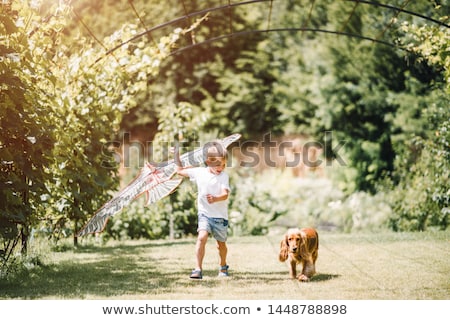 Stock fotó: A Little Boy Is Playing With Little Dogs