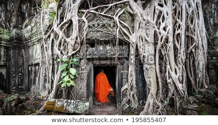 Foto d'archivio: Ta Prohm Temple With Giant Banyan Tree At Angkor Wat Cambodia