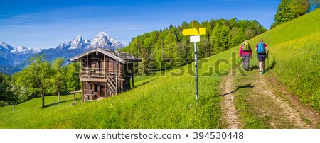 Stock fotó: Path In Bavarian Alps