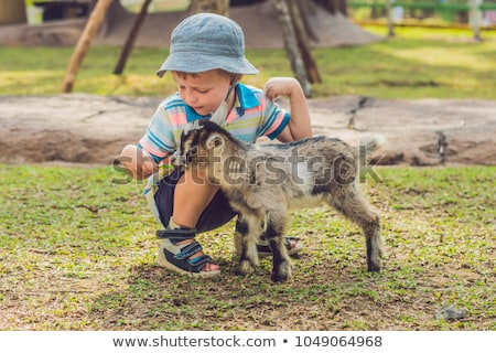 Foto stock: Small Cute Boy Is Feeding A Small Newborn Goat
