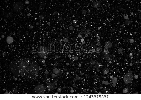 Stock foto: Closeup Snowfall On Dark Sky Backdrop