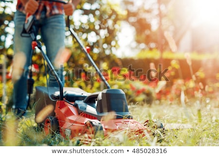 Zdjęcia stock: Close Up Lawn Mower