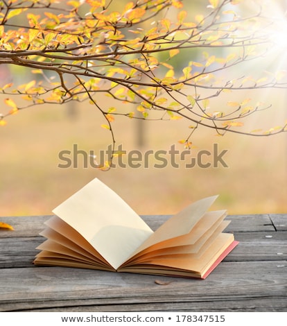 [[stock_photo]]: Bright Autumn Leaves On The Abstract Background With Manuscript
