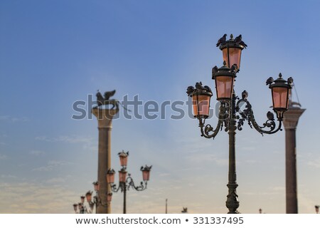 Stockfoto: Venetian Pigeon