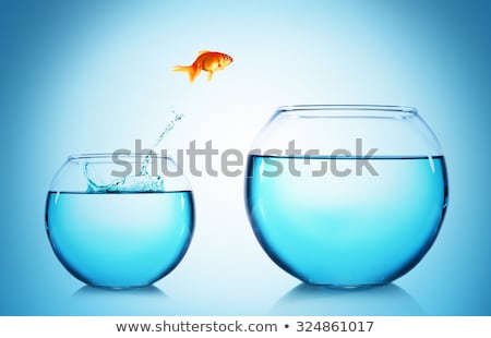 Сток-фото: Goldfish Jumping Out Of The Water