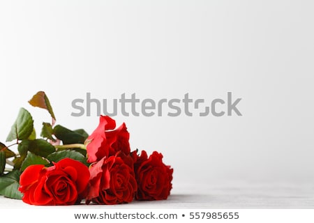 Foto stock: Beautiful Heart Of Red Rose Petals With Blank Paper