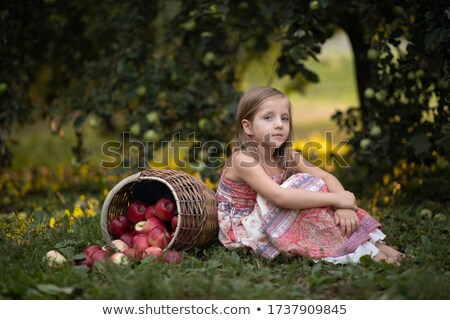 Foto stock: Apples On The Grass