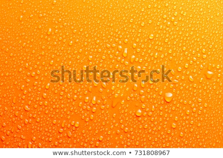 Stock fotó: Orange In A Water On A White Background