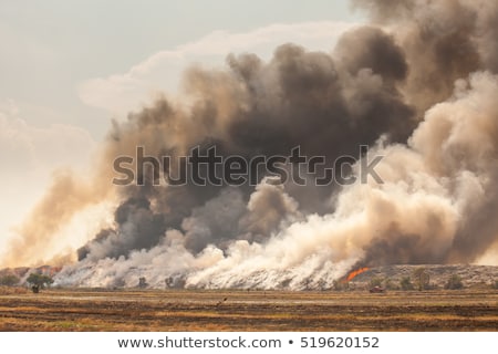 Foto stock: Burning Garbage Heap Of Smoke