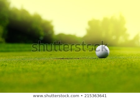 Foto d'archivio: Golf Ball In A Green Course And Hole