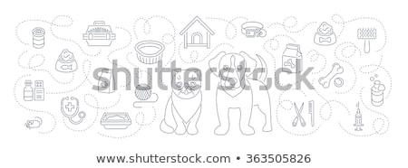 Foto stock: Animal Pets Grooming And Healthcare Flat Horizontal Header Banner