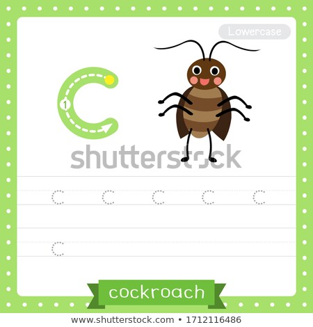 Stok fotoğraf: Flashcard Letter C Is For Cockroach