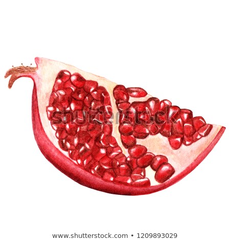 Foto stock: Watercolor Illustration Of Half Of Pomegranate