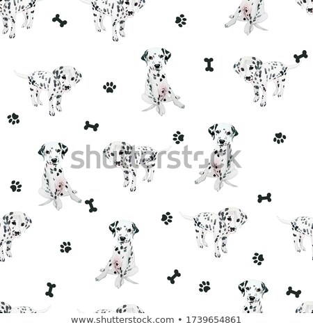 Stok fotoğraf: Cartoon Dalmatian Dreaming