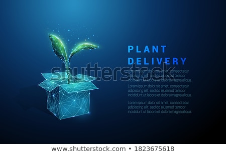Foto stock: Transportation Box And Plant Leaf Packaging Vector