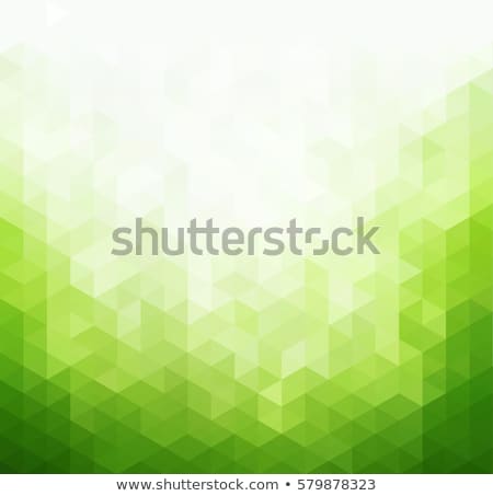 Stok fotoğraf: Abstract Green Digital Background Design