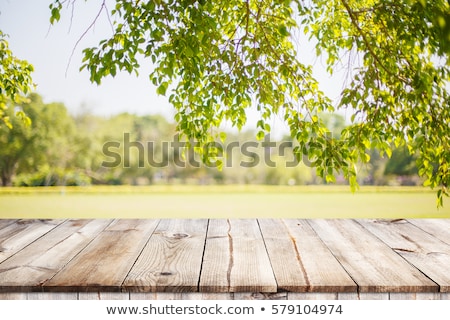 [[stock_photo]]: Natural Wooden Surface