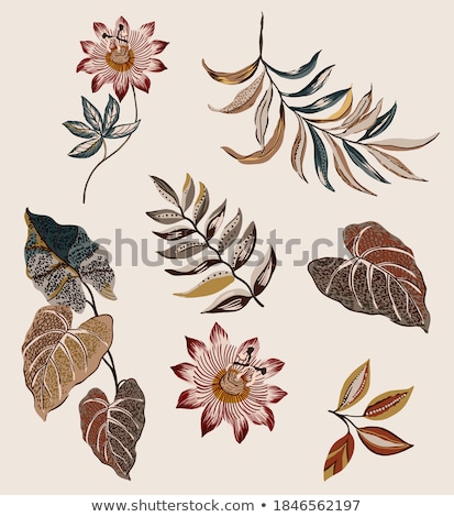 Imagine de stoc: Antique Wallpaper With Flowers And Leafs