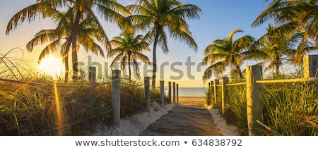 Foto stock: Passage To The Beach At Sunrise