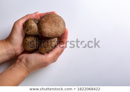 [[stock_photo]]: Man Holding Mushrooms