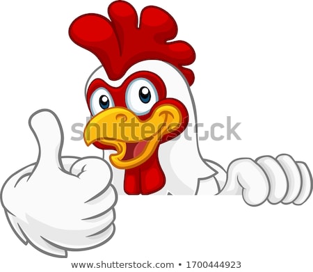 Foto stock: Cute Red Rooster Bird Cartoon Mascot Character Peeking From A Corner