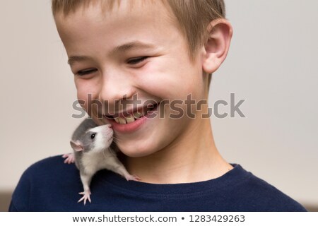 Foto stock: Animal Mouse Boybeauty