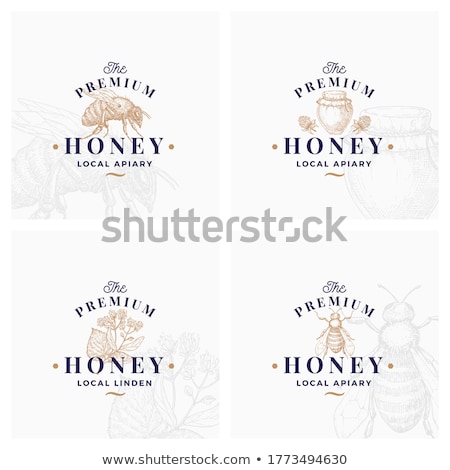 Zdjęcia stock: Vintage Honey Emblems